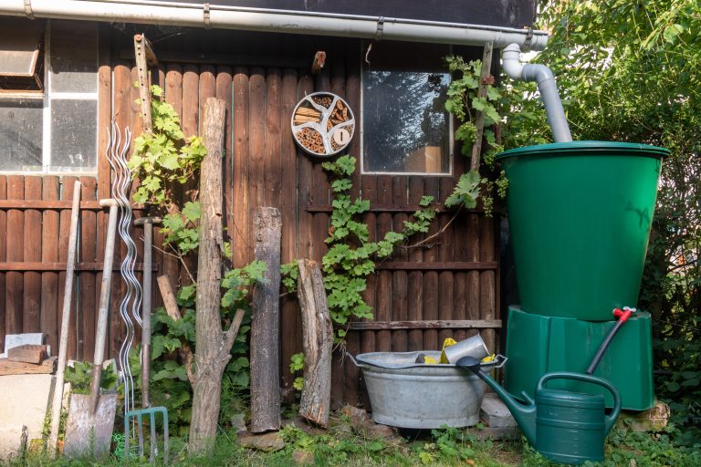 back garden with vintage shed and rain water collection and harvesting system